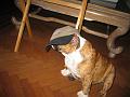 IMG_5656