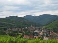IMG_4446