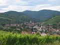 IMG_4454